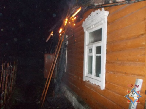 В Полоцке кот разбудил семью с ребенком, когда у них загорелся дом (Видео)