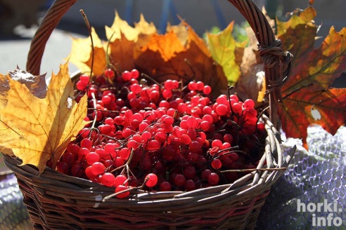 Финберг, танцы и сувениры на память – 60 фотографий о том, как Мстиславлю исполнилось 880 лет