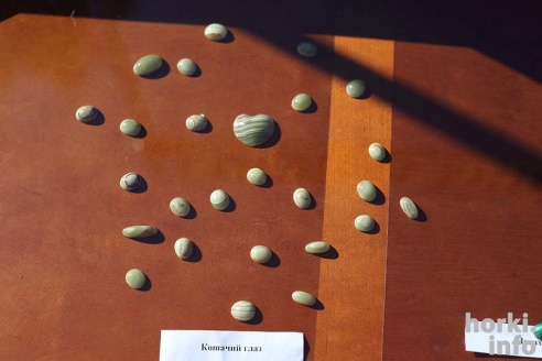 Финберг, танцы и сувениры на память – 60 фотографий о том, как Мстиславлю исполнилось 880 лет