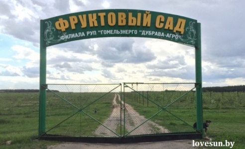 В Светлогорском районе налажено производство сока прямого отжима