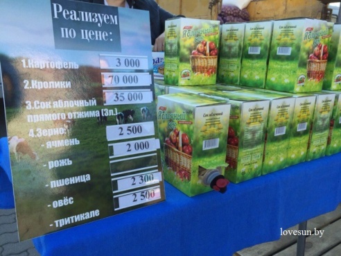 В Светлогорском районе налажено производство сока прямого отжима