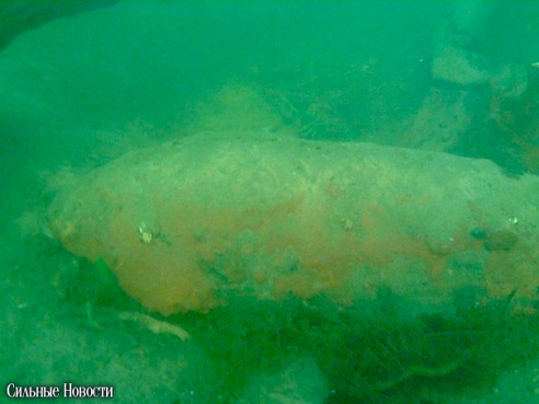 Фотофакт: в ходе учений ОСВОДа на дне Сожа была обнаружена авиабомба времен ВОВ