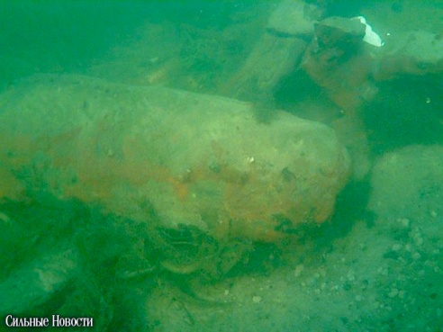 Фотофакт: в ходе учений ОСВОДа на дне Сожа была обнаружена авиабомба времен ВОВ