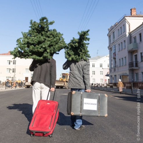 Компенсация за утраченную зелень: во дворах по улице Кирова будут высажены дуб, липа и сумах