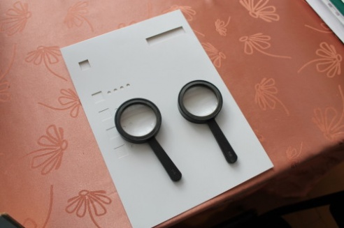 Голосование по выборам Президента Беларуси стартовало на избирательных участках Костюковичского района (+ фото)