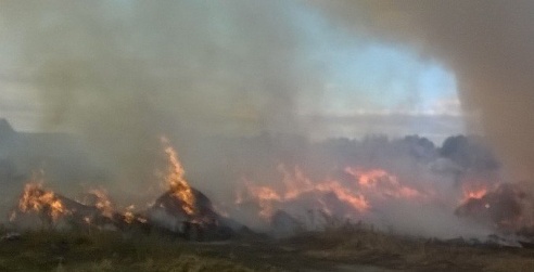 Фотофакт: в Чирковичах огромным пламенем объяты тюки с соломой