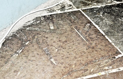 Ракавіны марскіх жывёл, якія жылі мільёны гадоў таму, знайшлі на мармуровых плітах храма ў Глыбокім (ФОТА)