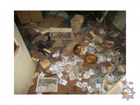 В Вилейке спасатели помогли выбраться пенсионеру из горящего дома (ФОТО)