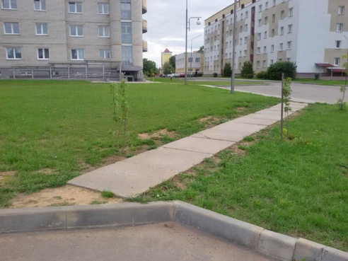 Зачем нашу тропинку закрыли забором и кустами?