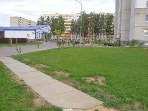 Зачем нашу тропинку закрыли забором и кустами?