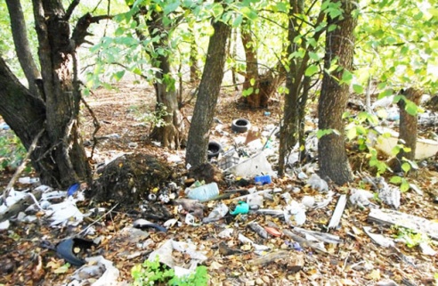 В Калинковичском районе возникают несанкционированные свалки. Причина — в закрытии полигонов ТБО (фото) — Гомель сегодня