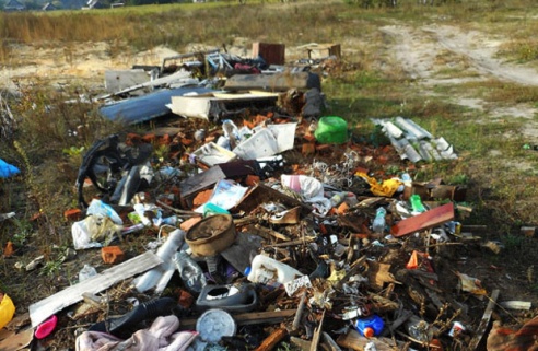 В Калинковичском районе возникают несанкционированные свалки. Причина — в закрытии полигонов ТБО (фото) — Гомель сегодня
