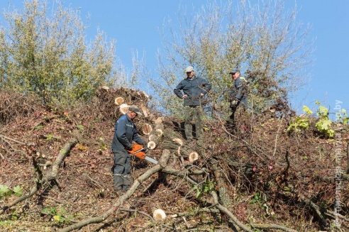 В Гомеле ведутся работы по строительству дороги от дома № 96 по ул. Головацкого до ул. Юбилейной
