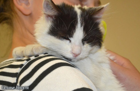 Фоторепортаж: 20 бездомных животных нашли дом и заботливых хозяев