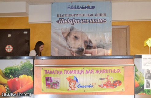 Фоторепортаж: 20 бездомных животных нашли дом и заботливых хозяев