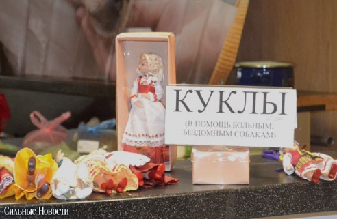 Фоторепортаж: 20 бездомных животных нашли дом и заботливых хозяев