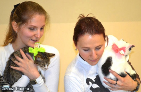 Фоторепортаж: 20 бездомных животных нашли дом и заботливых хозяев