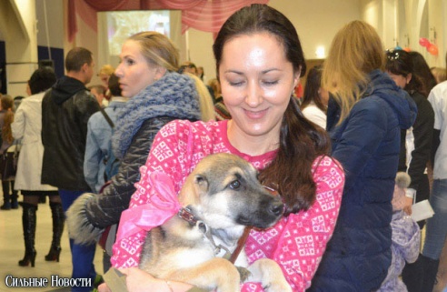 Фоторепортаж: 20 бездомных животных нашли дом и заботливых хозяев