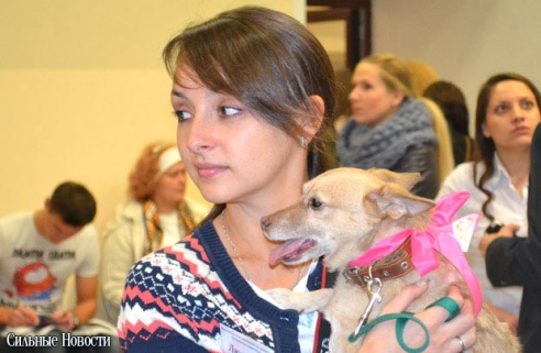 Фоторепортаж: 20 бездомных животных нашли дом и заботливых хозяев