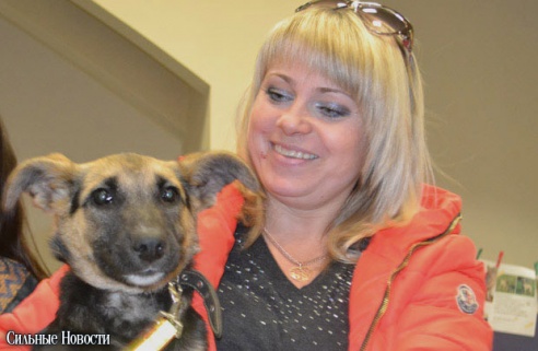 Фоторепортаж: 20 бездомных животных нашли дом и заботливых хозяев