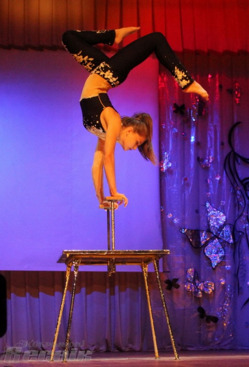 В этом году четыре женщины Кобринщины были награждены орденом Матери