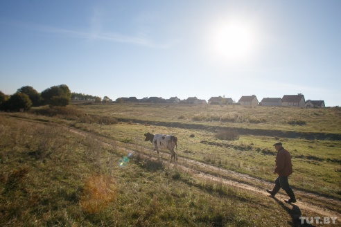 "Посмотрел, что женщина — ничего". Как живут на Дрибинщине, где более 10% голосов отдали за Короткевич