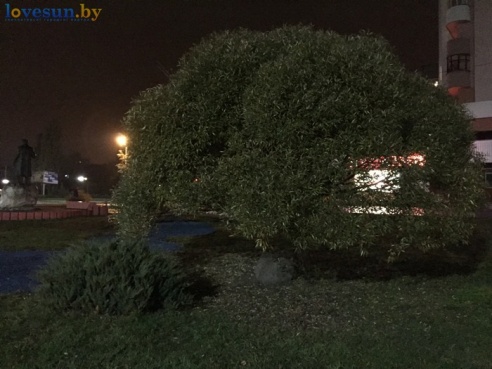 Вечер, осень, фонари: фоторепортаж из ночного Светлогорска