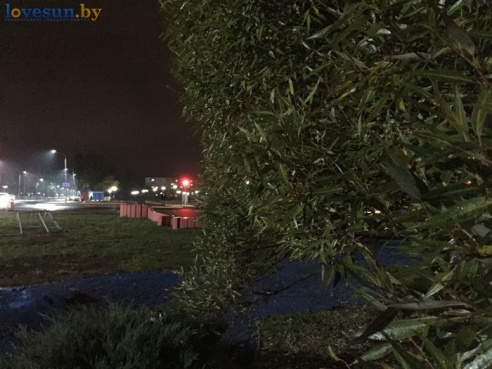 Вечер, осень, фонари: фоторепортаж из ночного Светлогорска