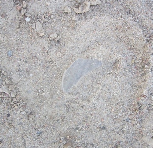 Будуць судзіць кіроўцу, які наехаў на 12-гадовую дзяўчынку ў Маладзечне і ўцёк (Фота)