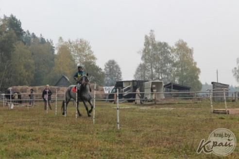 ФОТО- и ВИДЕОРЕПОРТАЖ: Скачки ординарцев прошли в Старинках под Вилейкой 18 октября