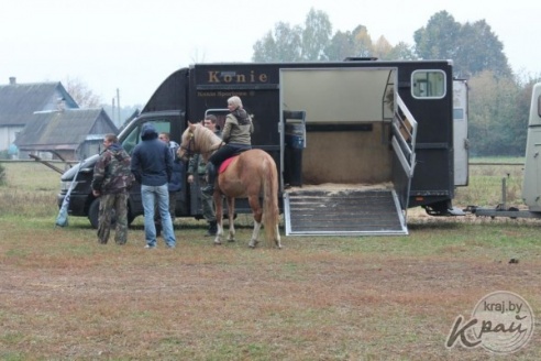 ФОТО- и ВИДЕОРЕПОРТАЖ: Скачки ординарцев прошли в Старинках под Вилейкой 18 октября