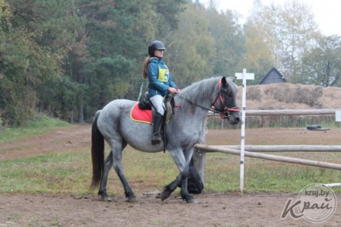 ФОТО- и ВИДЕОРЕПОРТАЖ: Скачки ординарцев прошли в Старинках под Вилейкой 18 октября