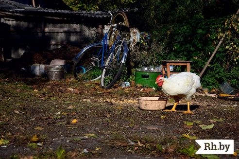 Жанчына з Лебедзева пад Маладзечнам стала маці,  шматдзетнай, амаль у 50 год