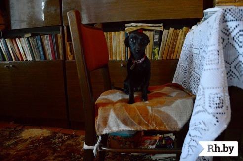 Жанчына з Лебедзева пад Маладзечнам стала маці,  шматдзетнай, амаль у 50 год