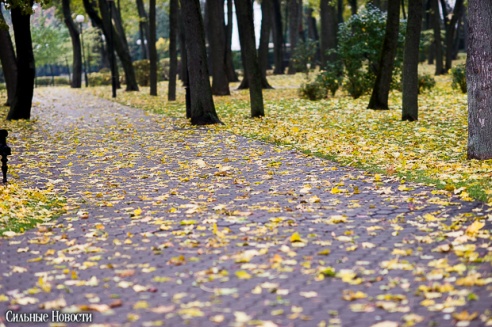 Фоторепортаж: осень в Гомеле