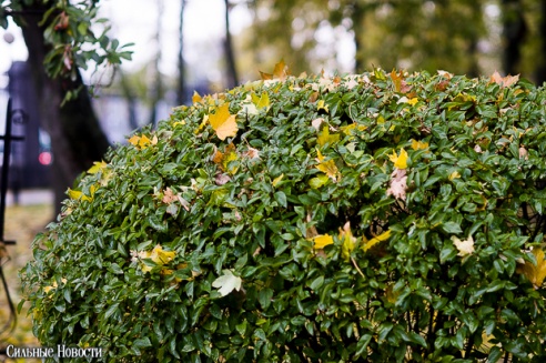 Фоторепортаж: осень в Гомеле