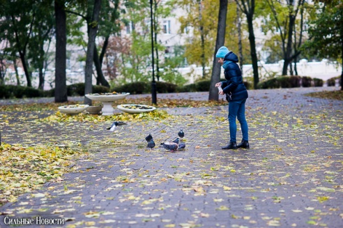 Фоторепортаж: осень в Гомеле