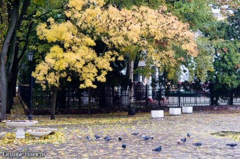 Фоторепортаж: осень в Гомеле