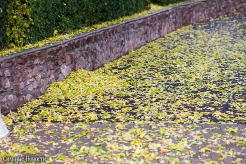 Фоторепортаж: осень в Гомеле