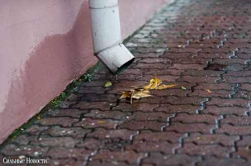 Фоторепортаж: осень в Гомеле