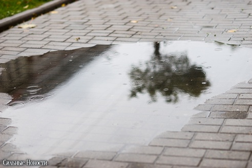 Фоторепортаж: осень в Гомеле