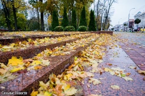 Фоторепортаж: осень в Гомеле