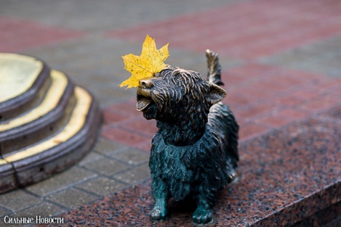 Фоторепортаж: осень в Гомеле