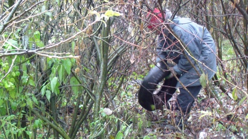 Дождь не помешал