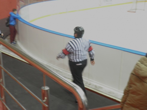 На "Золотой шайбе" (фото)