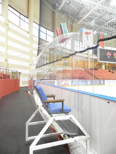 На "Золотой шайбе" (фото)