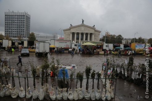 Налетай, торопись… Гомельчане оценили размах ярмарки на площади Ленина
