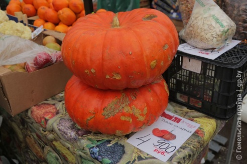 Налетай, торопись… Гомельчане оценили размах ярмарки на площади Ленина