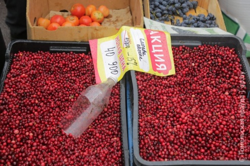 Налетай, торопись… Гомельчане оценили размах ярмарки на площади Ленина