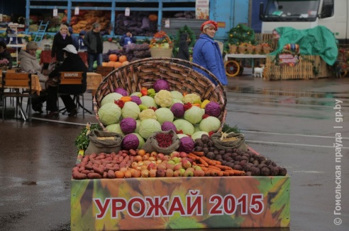 Налетай, торопись… Гомельчане оценили размах ярмарки на площади Ленина